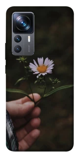 Чехол на Xiaomi 12T / 12T Pro Ромашка v4 фото 1 из 1
