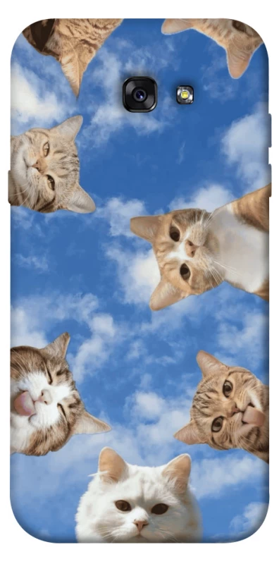 Чохол на Samsung A720 Galaxy A7 (2017) Сats фото 1 з 1