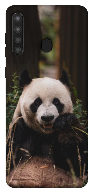 Чехол на Samsung Galaxy A21 Панда фото 1 из 1