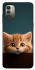 Чехол на Nokia G11 Чехол Котёнок фото 1 из 1