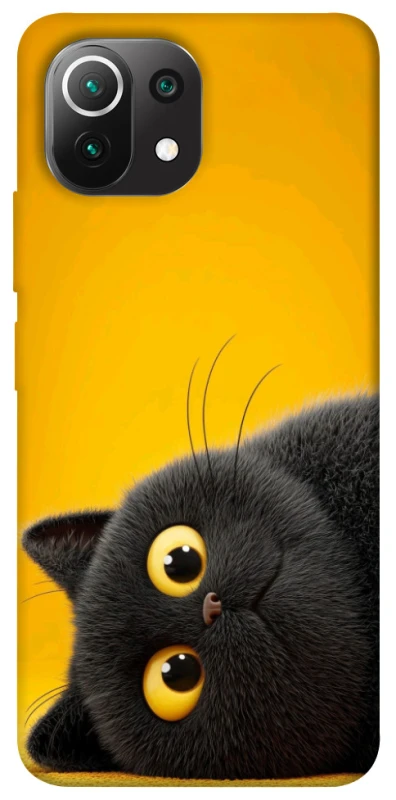 Чохол на Xiaomi Mi 11 Lite This is Cat фото 1 з 1