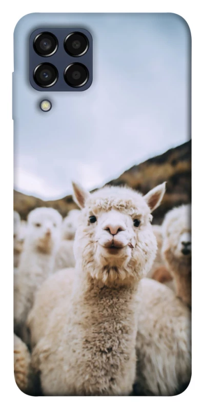 Чохол на Samsung Galaxy M33 5G Лама фото 1 з 1