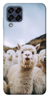 Чехол на Samsung Galaxy M33 5G Лама фото 1 из 1