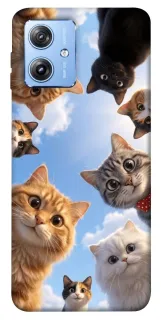 Чехол на Motorola Moto G84 Cats фото 1 из 1