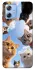 Чохол на Motorola Moto G84 Cats фото 1 з 1