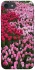 Чохол на Apple iPhone 7 / 8 (4.7") Flowers v9 фото 1 з 1
