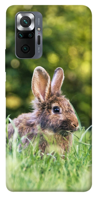 Чехол на Xiaomi Redmi Note 10 Pro Кролики фото 1 из 1