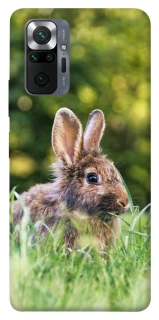 Чехол на Xiaomi Redmi Note 10 Pro Кролики фото 1 из 1