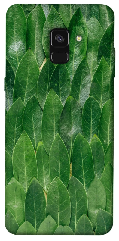 Чохол на Samsung A530 Galaxy A8 (2018) Листя фото 1 з 1