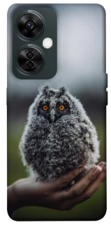 Чохол на OnePlus Nord CE 3 Lite Совеня фото 1 з 1