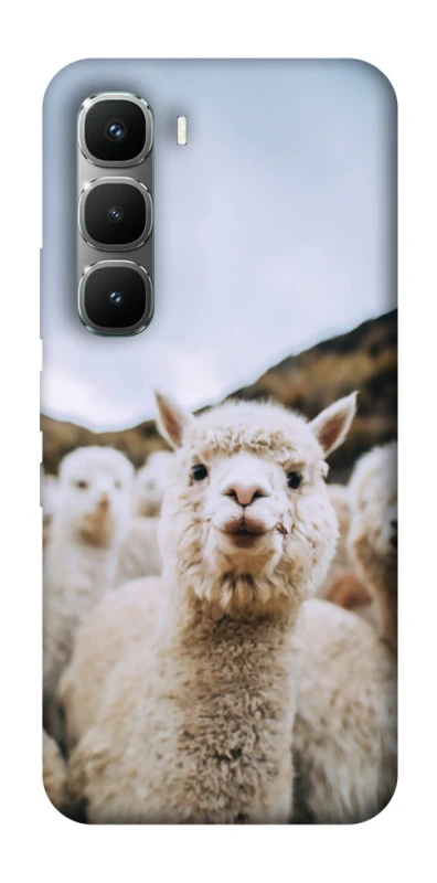 Чохол на Infinix Hot 60 Pro Лама фото 1 з 1