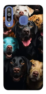 Чохол на Samsung Galaxy M30 Собаки фото 1 з 1