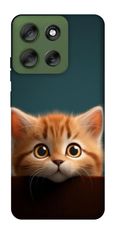 Чохол на Motorola Moto G56 5G Чохол Кошеня фото 1 з 1