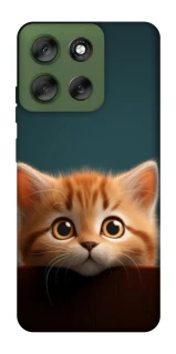 Чохол на Motorola Moto G56 5G Чохол Кошеня фото 1 з 1