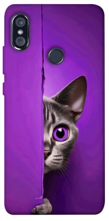 Чохол на Xiaomi Redmi Note 5 Pro / Note 5 (AI Dual Camera) Кіт-підглядач фото 1 з 1