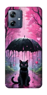 Чохол на Motorola Moto G54 Power Black cat фото 1 з 1