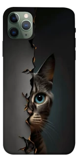 Чехол на Apple iPhone 11 Pro Max (6.5") Кот-подглядыватель v2 фото 1 из 1