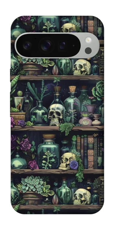 Чохол на Google Pixel 9 Pro XL Bookshelf ver.1 фото 1 з 1