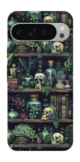 Чохол на Google Pixel 9 Pro XL Bookshelf ver.1 фото 1 з 1