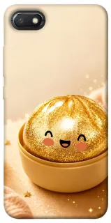 Чехол на Xiaomi Redmi 6A Dumpling ver.6 фото 1 из 1