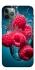 Чехол на Apple iPhone 11 Pro (5.8") Малинка в воде фото 1 из 1