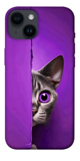 Чохол на Apple iPhone 14 (6.1") Кіт-підглядач фото 1 з 1