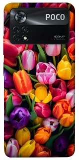 Чехол на Xiaomi Poco X4 Pro 5G Flowers v30 фото 1 из 1