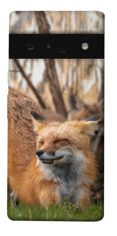 Чехол на Google Pixel 6 Pro Лиса фото 1 из 1