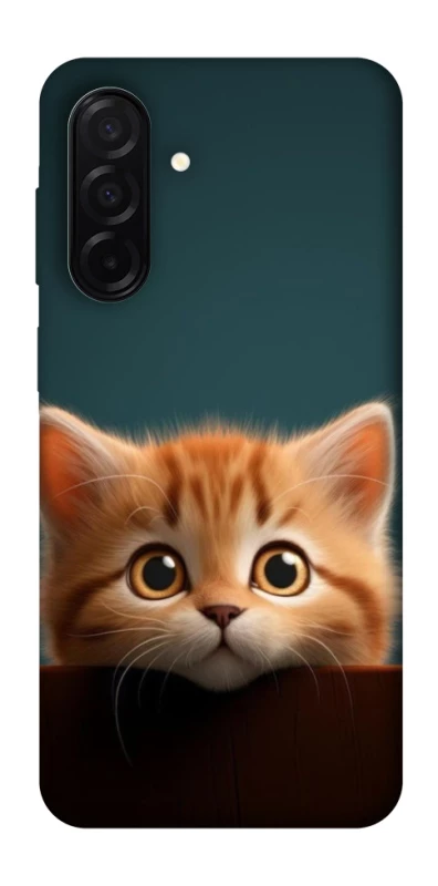 Чохол на Samsung Galaxy A26 5G Чохол Кошеня фото 1 з 1