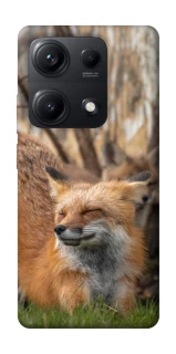Чехол на Xiaomi Redmi Note 14S Лиса фото 1 из 1