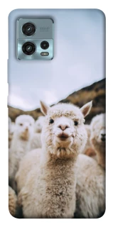 Чохол на Motorola Moto G72 Лама фото 1 з 1