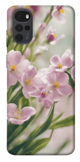 Чехол на Motorola Moto G22 Spring фото 1 из 1