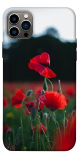 Чехол на Apple iPhone 12 Pro (6.1") Мак фото 1 из 1