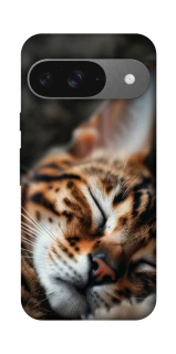 Чехол на Google Pixel 10 Cat paws фото 1 из 1