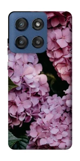 Чохол на Motorola Edge 60 Stylus Рожеві гартензії фото 1 з 1