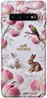 Чехол на Samsung Galaxy S10 Hermes фото 1 из 1