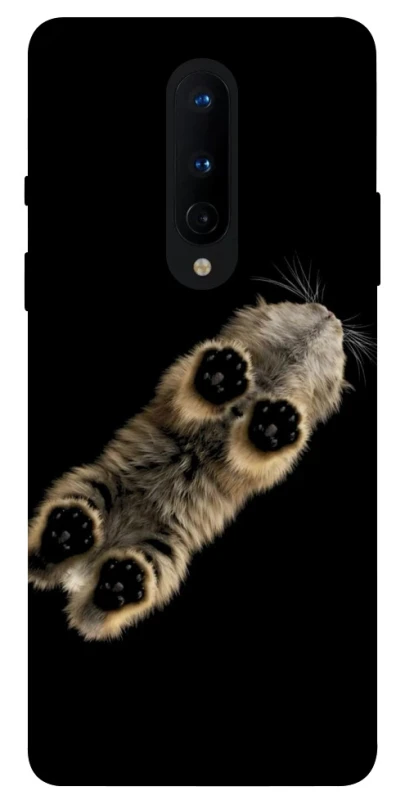Чохол на OnePlus 8 Cat фото 1 з 1