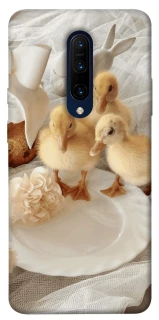 Чохол на OnePlus 7 Pro Easter Vibes фото 1 з 1