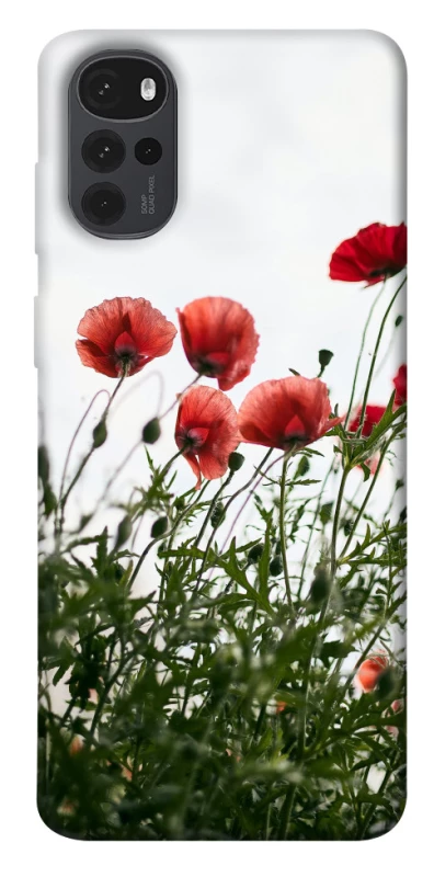 Чехол на Motorola Moto G22 Поле маков фото 1 из 1