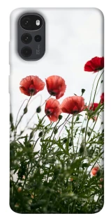 Чехол на Motorola Moto G22 Поле маков фото 1 из 1