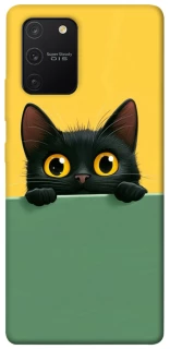 Чехол на Samsung Galaxy S10 Lite Black cat v2 фото 1 из 1
