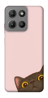 Чехол на Motorola Moto G15 Power Peeping cat фото 1 Чехол на Motorola Moto G15 Power Peeping cat фото 1 из 1
