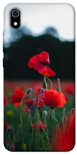 Чехол на Xiaomi Redmi 7A Мак фото 1 из 1