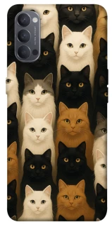 Чехол на Oppo Reno 4 Colorful Cat Collage фото 1 из 1