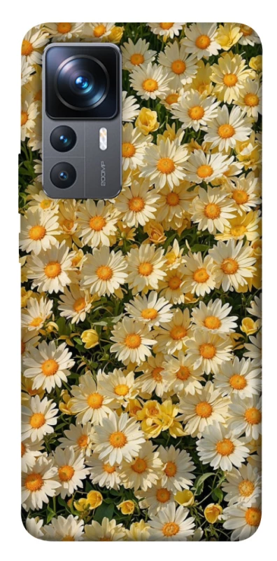 Чохол на Xiaomi 12T / 12T Pro Camomile фото 1 з 1