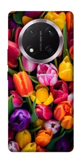 Чохол на Honor X9c Flowers v30 фото 1 з 1