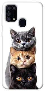 Чохол на Samsung Galaxy M31 Гарні котики фото 1 з 1