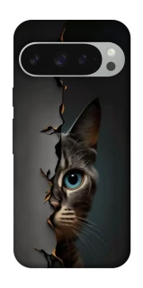 Чехол на Google Pixel 10 Pro XL Кот-подглядыватель v2 фото 1 из 1