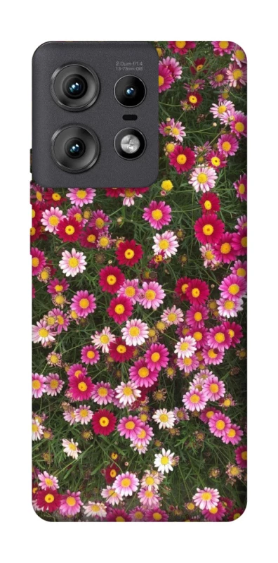 Чехол на Motorola Edge 50 Pro Flowers v8 фото 1 из 1