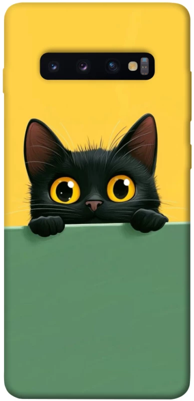 Чехол на Samsung Galaxy S10+ Black cat v2 фото 1 из 1